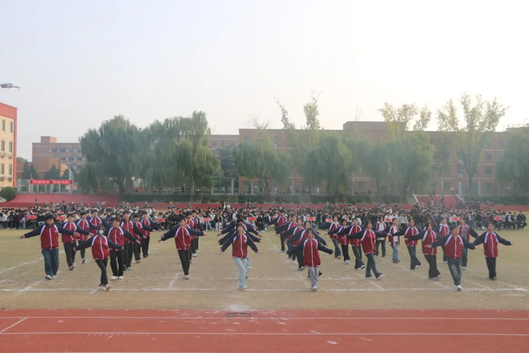 图片 9.png 图片 9.png