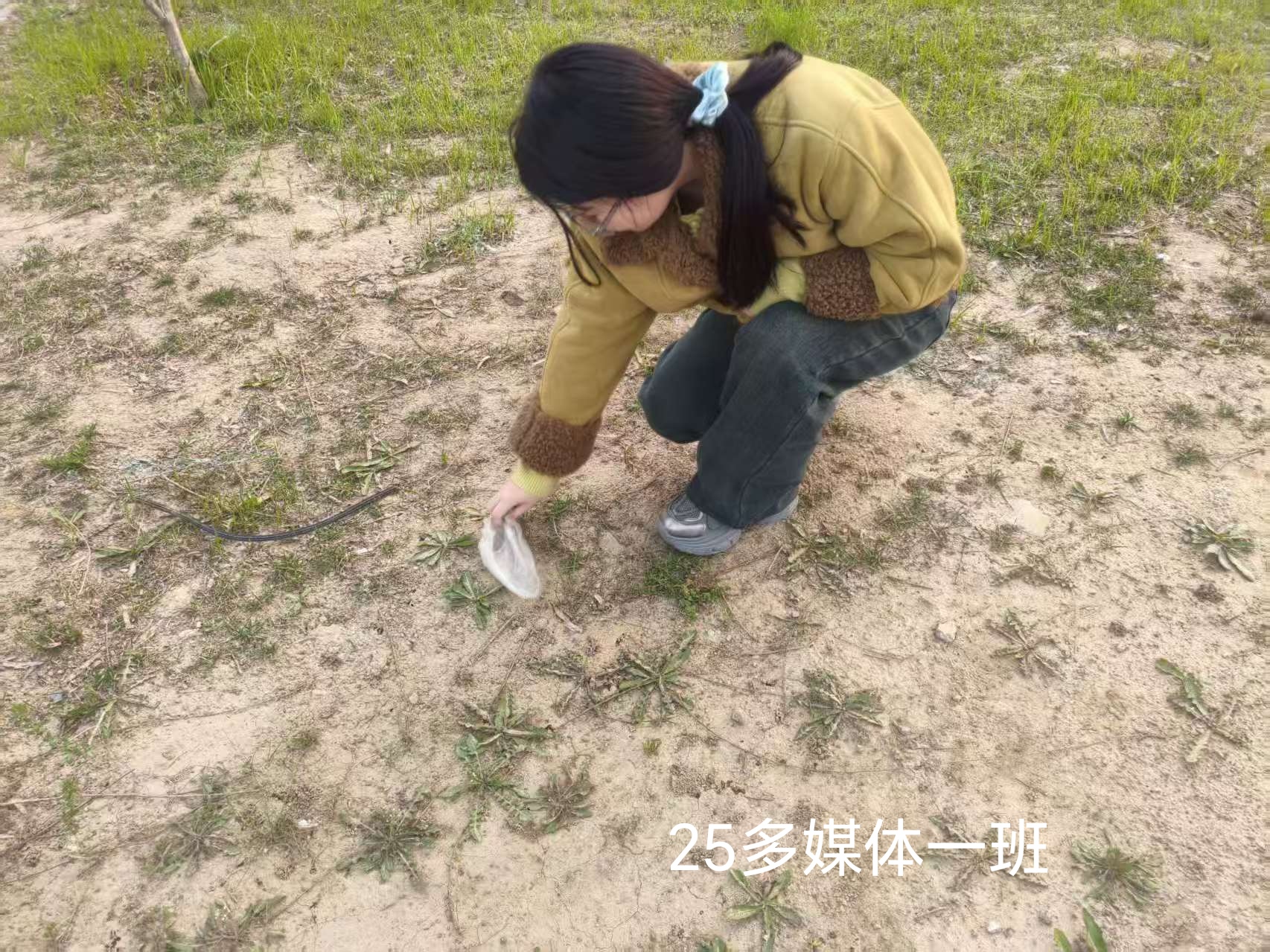 微信图片_20260316093353_484_374.jpg